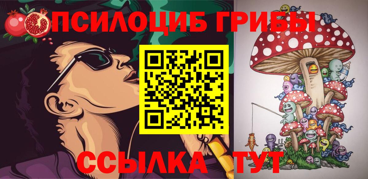 Псилоцибиновые грибы прущие грибы Ржев