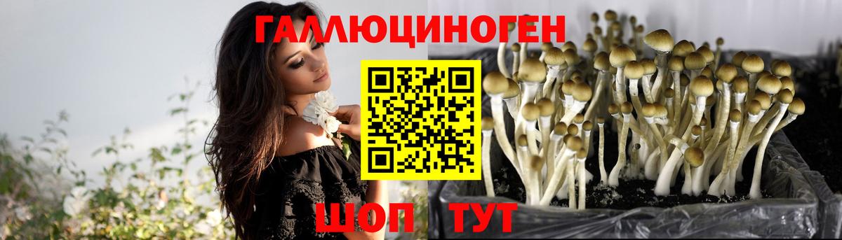 Ржев  Галлюциногенные грибы ЛСД  Вход с VPN 